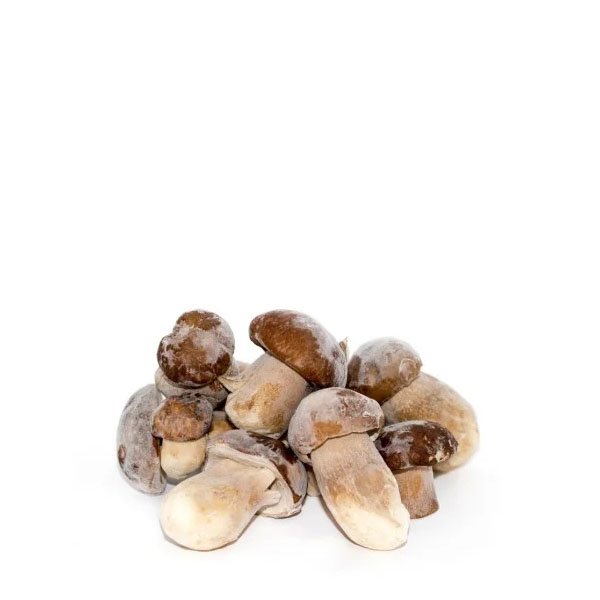 Agro Ciuperci Hribi 2.5KG